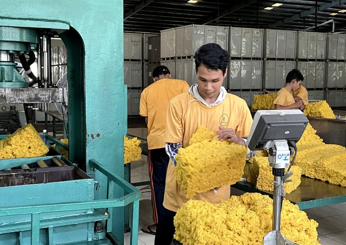 Ngành cao su đi vào tăng trưởng xanh - Chuyển từ dầu, gas... sang năng lượng xanh